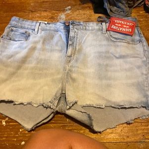 NWT Levi High Rise Shorts